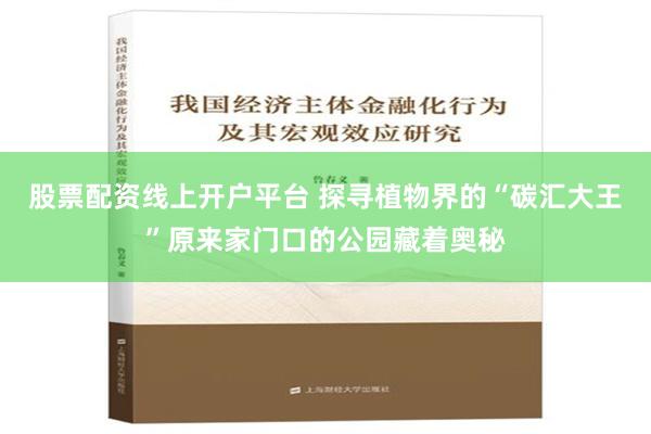 股票配资线上开户平台 探寻植物界的“碳汇大王”原来家门口的公园藏着奥秘