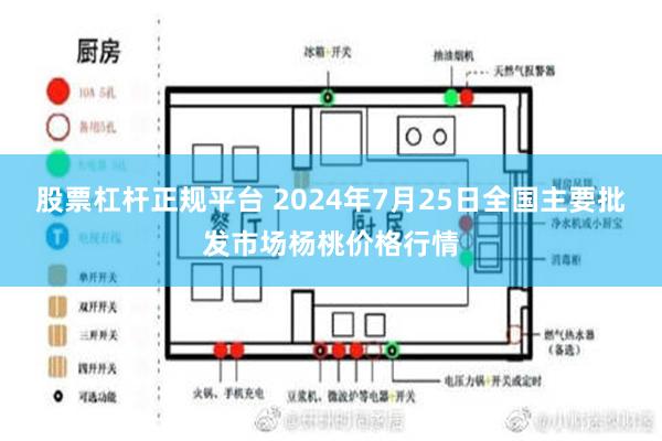 股票杠杆正规平台 2024年7月25日全国主要批发市场杨桃价格行情