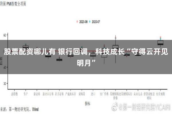 股票配资哪儿有 银行回调，科技成长“守得云开见明月”