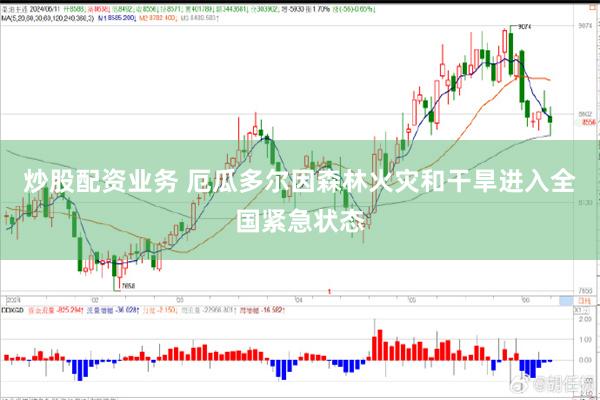 炒股配资业务 厄瓜多尔因森林火灾和干旱进入全国紧急状态