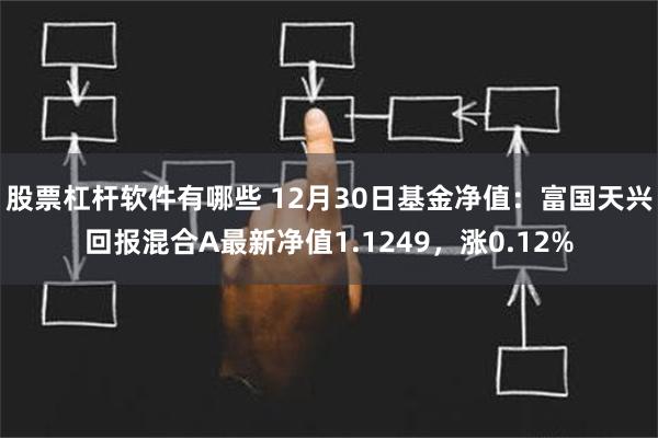 股票杠杆软件有哪些 12月30日基金净值：富国天兴回报混合A最新净值1.1249，涨0.12%